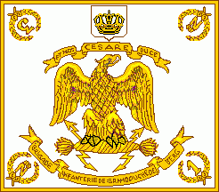 [Grand Ducal Berg infantry 1809]
